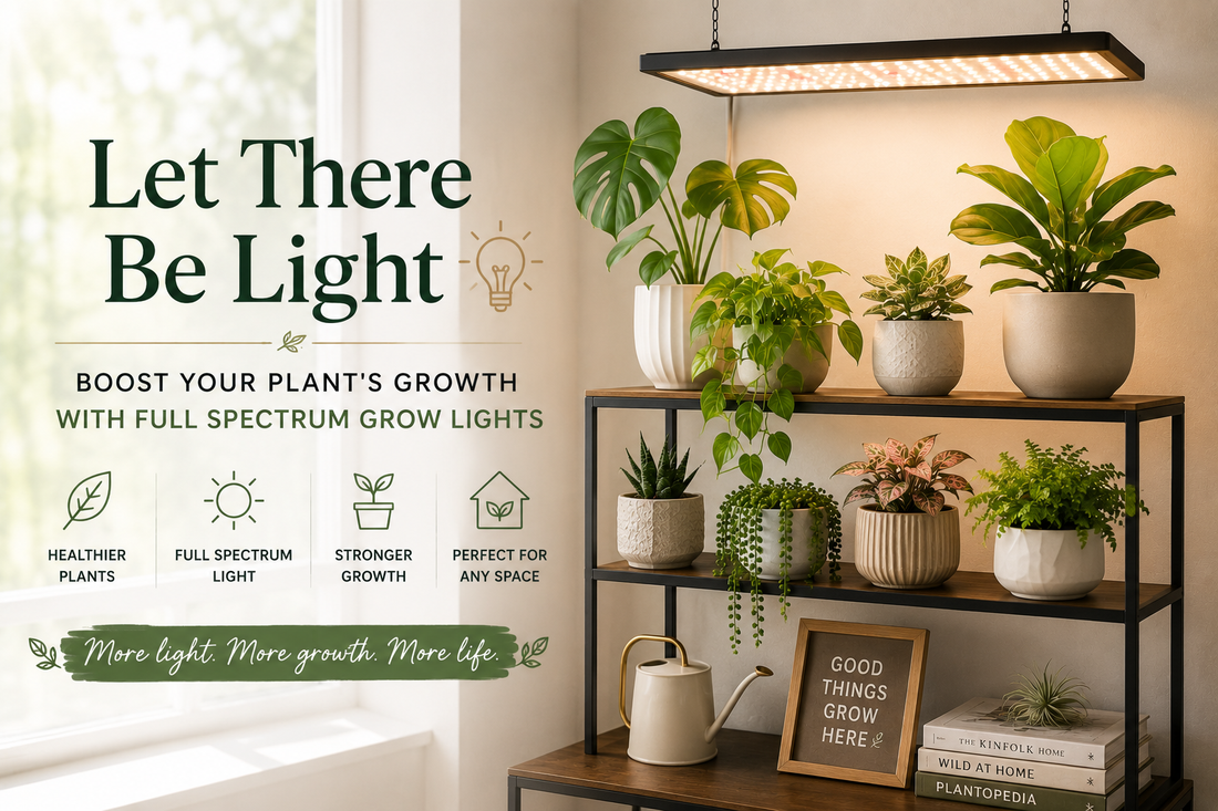 Let There Be Light: Boost Your Plant's Growth with Full Spectrum Grow Lights 💡