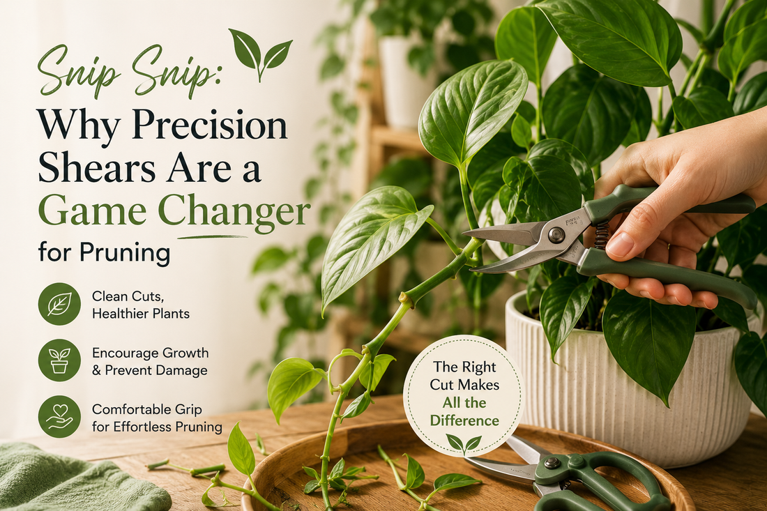 Snip Snip: Why Precision Shears Are a Game Changer for Pruning ✂️