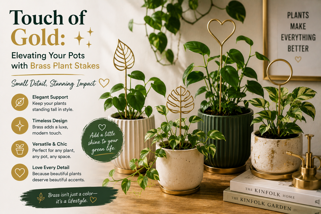 Touch of Gold: Elevating Your Pots with Brass Plant Stakes ✨