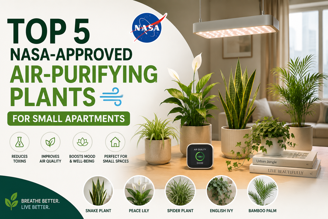 Top 5 NASA-Approved Air-Purifying Plants for Small Apartments 🌿💨