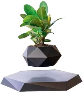 Magnetic Levitating Planter with Wooden Base, Floating Air Bonsai Pot with Rotation, White Geometric Pot, 5.9cm Diameter, Home Desk Decor (Black color)