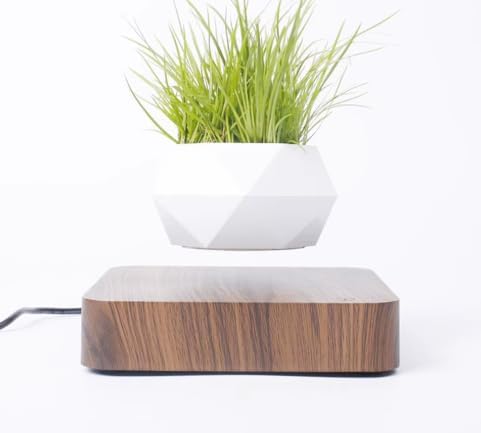 Magnetic Levitating Planter with Wooden Base, Floating Air Bonsai Pot with Rotation, White Geometric Pot, 5.9cm Diameter, Home Desk Decor (Walnut Base)