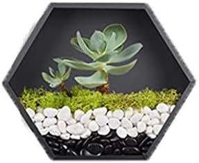 Hanging Hexagon Planter Wall-Mounted Flower Pot Hanging Basket Metal Vase Air Plant Holder Vintage Flower Pot Geometric Planter Succulent Cactus Container (S,Black)