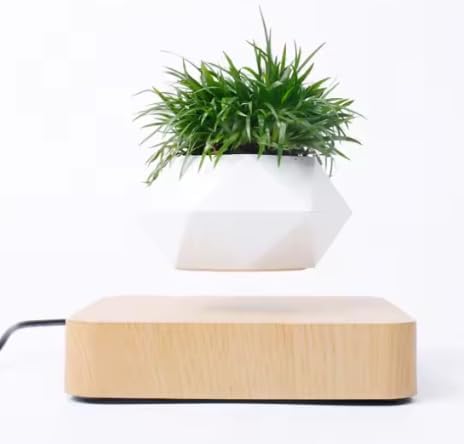 Magnetic Levitating Planter with Wooden Base, Floating Air Bonsai Pot with Rotation, White Geometric Pot, 5.9cm Diameter, Home Desk Decor (Light wood Base)
