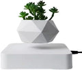 Magnetic Levitating Planter with Wooden Base, Floating Air Bonsai Pot with Rotation, White Geometric Pot, 5.9cm Diameter, Home Desk Decor (White Base)