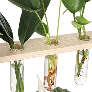 YIBOT Glass Plant Propagation Tubes Accessories Glass Test Tubes Tiered Planters Wall Terrarium for Home Office Plant Hanger Flower Vases Wall Decor Hydroponic Cuttings (5 Tube Vases) Clear