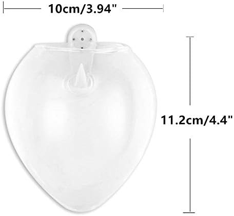 NUPTIO Hanging Planter Wall Terrarium: Glass Plant Holder 4 PCS Water Planting Vases Succulents Container Hydroponics Pots Clear Propagation Station Airplant Display for Office Home Living Room Gifts