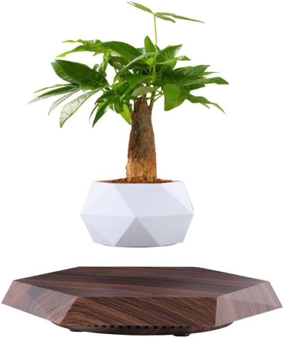 LMingKun Levitating Plant Pot - Floating Plant Pot for Small Plants. Levitating Decor for Home & Office Magnetic Floating Levitating Display (deep Wood Grain)