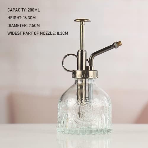 Plant Mister in Glass 200ML, Small Spray Bottle with Plastic Top Pump, Fine Mist Decorative Sprayer Tiny Watering Can Gift for Indoor Outdoor Succulent House Plant (Transparent)