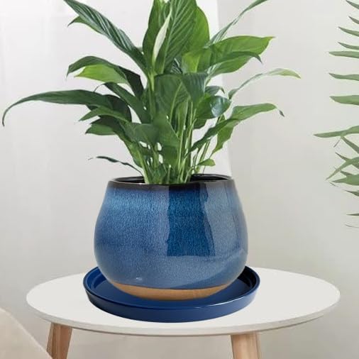 Yukfona Ceramic Plant Saucer Pot Tray Blue 2pcs-12 Inch, Planter Saucers 4 5 6 7 8 9 10 11 12 Inch for Indoors Outdoor, Durable Sturdy Flower Drainage Tray for Glazed Pots Base (12.5 Inch-Blue)