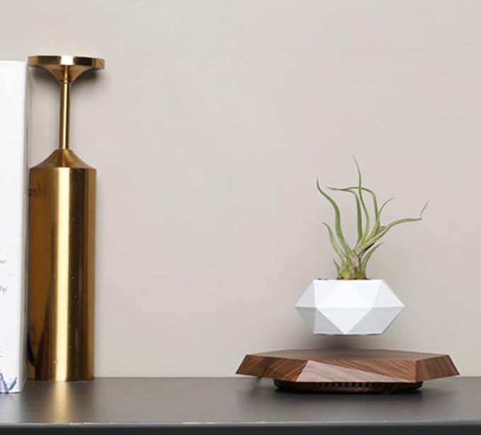 Planting Flower pots,Levitating Plant Pot,Magnetic levitation,Floating Plant Pot,Hanging Flower pots,Suspendded Flowerpot,Hanging planters