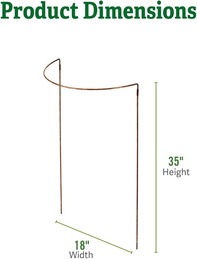 Gardener's Supply Company Jardin Half Round Metal Garden Plant Stakes | Sturdy Powder Coated Metal Outdoor Garden Plant Support Ring Border for Tomatoes, Flowers & Other Plants | 18" x 35" - Set of 2