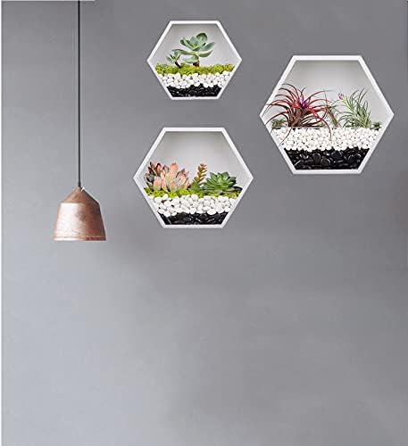 Knik Glass Hanging Hexagon Planter Wall-Mounted Flower Pot Hanging Basket Metal Vase Air Plant Holder Vintage Flower Pot Geometric Planter Succulent Cactus Container (Mixed Set of 3,White)