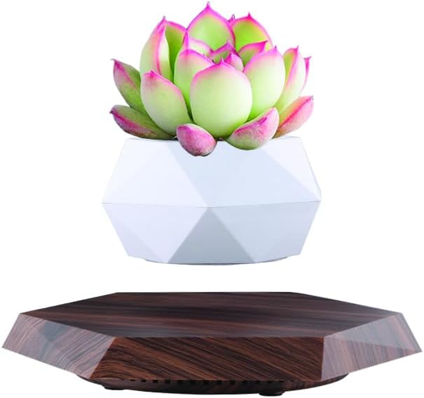 Planting Flower Pots, Leveling Plant Pot, Magnetic Activity, Floating Plant Pot, Floating Plant, Hanging Flower Pots, Suspended Flowpot, Planers