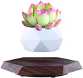 Planting Flower Pots, Leveling Plant Pot, Magnetic Activity, Floating Plant Pot, Floating Plant, Hanging Flower Pots, Suspended Flowpot, Planers