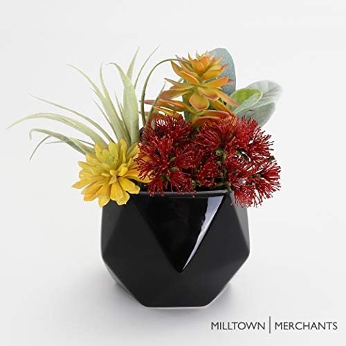 Succulent Wall Planters - Ceramic Wall Mounted Planters - Succulent Plant Pots - Hanging Vases (1 Pack/Geometric/Black)