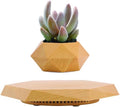 Floating Plant Pot,Planting Flower pots,Levitating Plant Pot,Magnetic levitation,Floating Plant,Hanging Flower pots,Suspendded Flowerpot,Hanging planters (Light Wood Grain)