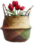 Natural Seagrass Basket - BESTCHANCEUS Seagrass Belly Basket with Handles Handmade Foldable Tote for Storage,Laundry, Picnic, Plant Pot Cover, and Beach Bag Colorful 29x26CM