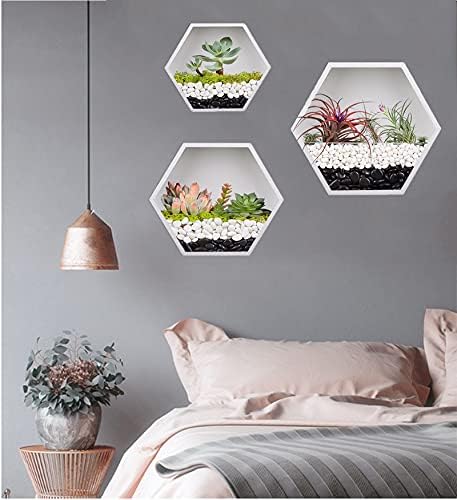 Knik Glass Hanging Hexagon Planter Wall-Mounted Flower Pot Hanging Basket Metal Vase Air Plant Holder Vintage Flower Pot Geometric Planter Succulent Cactus Container (Mixed Set of 3,White)