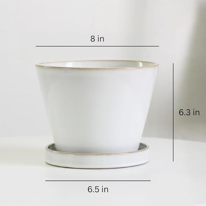 Glazed Ceramic Planter with Drainage Hole & Saucer for Indoor Tropical Plants, Reactive Glaze Plant Pot (White, 8")