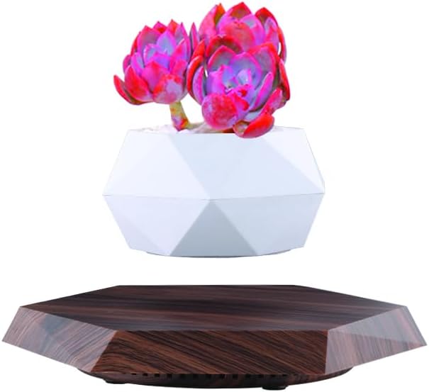 LMingKun Levitating Plant Pot - Floating Plant Pot for Small Plants. Levitating Decor for Home & Office Magnetic Floating Levitating Display (deep Wood Grain)