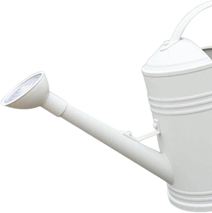 Baoblaze Watering Can Indoor Plants with Detachable Sprinkle Head 1.8L Lightweight er Watering Can Long Spout Watering Can for Plants Bonsai, White