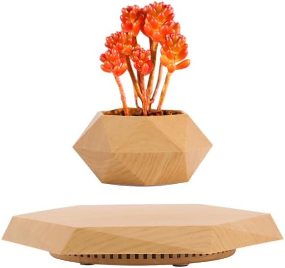 LMingKun Levitating Plant Pot - Floating Plant Pot for Small Plants. Levitating Decor for Home & Office Magnetic Floating Levitating Display (Light Wood Grain)