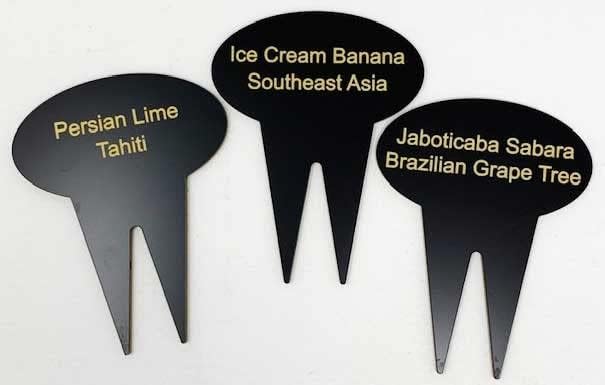 Comfort House Personalized Tree Tag - Custom Tree and Plant Identification Marker Stakes Into Ground - Name, Memorial, Care Instructions # J0039