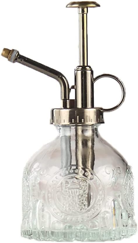 Plant Mister in Glass 200ML, Small Spray Bottle with Plastic Top Pump, Fine Mist Decorative Sprayer Tiny Watering Can Gift for Indoor Outdoor Succulent House Plant (Transparent)