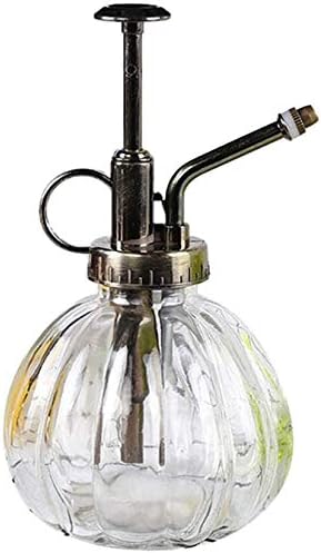 Mr. Plant Glass Water Spray Bottle 6.3 Inch High Round Retro Style Pumpkin Shape Moisturizing Atomizer Plant Fine Mist Cleaning Solution Hairdressing Spray Houseplant (Transparent)