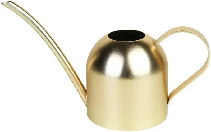 Stainless Steel Water Can for Indoor Plants and Garden (Gold 15 oz)
