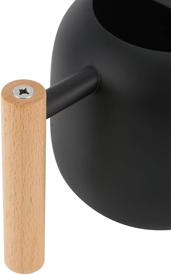 Small Watering Can for Indoor Plants, 45oz/1.2L Metal Watering Can with Long Spout, Wooden Handle for Comfortable Grip, Indoor Plant Watering Can, Decorative Mini Watering Can