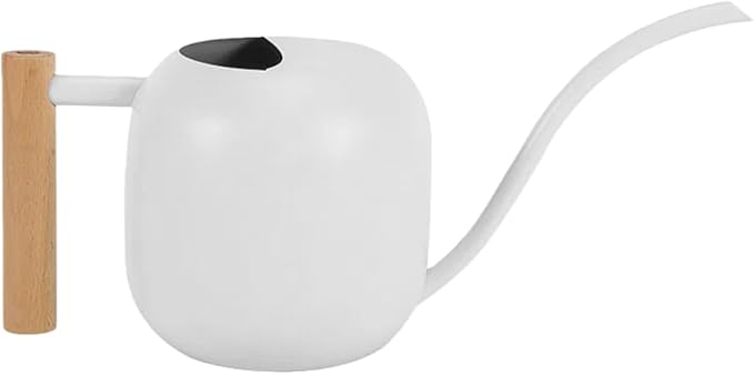 Indoor Watering Can with Long Spout, 40oz Capacity, White Metal with Wood Handle,Plant Mister Spray Bottle (White-W2)