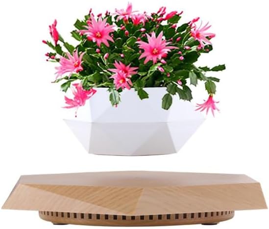 LMingKun Levitating Plant Pot - Floating Plant Pot for Small Plants. Levitating Decor for Home & Office Magnetic Floating Levitating Display (Light Wood Grain)