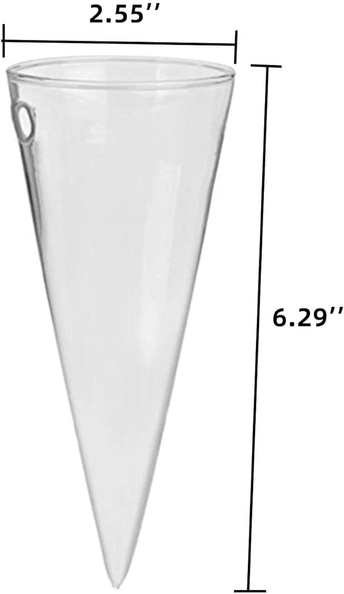Kingbuy Levitating Glass Planter for Succulents & Hydroponic Plants - 2 Pack Cone-Shaped Wall Vases Floating Terrarium Planters Wall Mount for Indoor Home Office Kitchen Decor (Medium)
