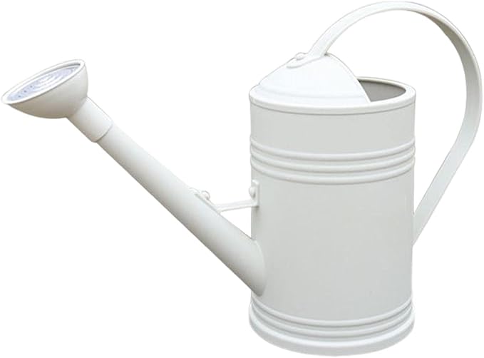Baoblaze Watering Can Indoor Plants with Detachable Sprinkle Head 1.8L Lightweight er Watering Can Long Spout Watering Can for Plants Bonsai, White