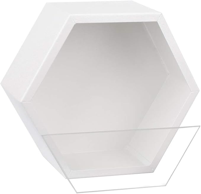 Hanging Hexagon Planter Wall-Mounted Flower Pot Hanging Basket Metal Vase Air Plant Holder Vintage Flower Pot Geometric Planter Succulent Cactus Container (M,White)