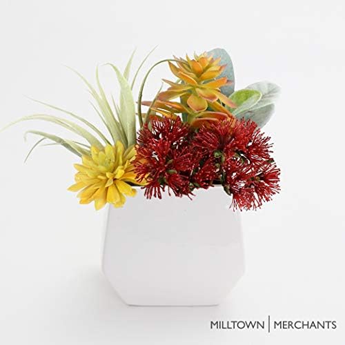 Succulent Wall Planters - White Ceramic Wall Mounted Planters - Succulent Plant Pots - Hanging Vases for Living Wall (1 Pack/Contemporary/White)