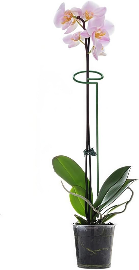 12 Pack Plant Support Stakes, 26 Inch Tall Metal Plant Stakes, Garden Plant Support Stake for Outdoor Indoor Plants, Flower Stake for Lilies, Dahlias, Sunflowers, Tomato, Amaryllis, Peony, Orchid