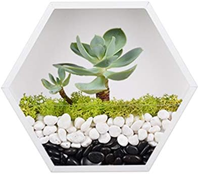 Hanging Hexagon Planter Wall-Mounted Flower Pot Hanging Basket Metal Vase Air Plant Holder Vintage Flower Pot Geometric Planter Succulent Cactus Container (S,White)