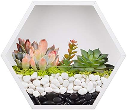 Hanging Hexagon Planter Wall-Mounted Flower Pot Hanging Basket Metal Vase Air Plant Holder Vintage Flower Pot Geometric Planter Succulent Cactus Container (M,White)