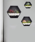Hanging Hexagon Planter Wall-Mounted Flower Pot Hanging Basket Metal Vase Air Plant Holder Vintage Flower Pot Geometric Planter Succulent Cactus Container (Mixed Set of 3,Black)