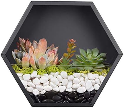 Hanging Hexagon Planter Wall-Mounted Flower Pot Hanging Basket Metal Vase Air Plant Holder Vintage Flower Pot Geometric Planter Succulent Cactus Container (M,Black)