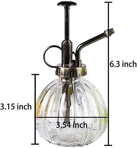 Mr. Plant Glass Water Spray Bottle 6.3 Inch High Round Retro Style Pumpkin Shape Moisturizing Atomizer Plant Fine Mist Cleaning Solution Hairdressing Spray Houseplant (Transparent)