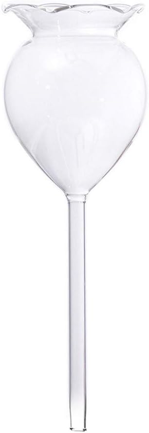 Ochine Plant Waterer Self Watering Globes Self Water Bulbs Devices Automatic Plant Watering Tool Decorative Hand Blown Clear Glass Plant Watering System for Indoor Outdoor Plant