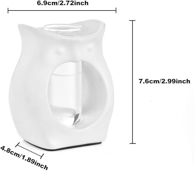 2-in-1 Ceramic Plant Propagation Station with Glass Jars, Owl Planter & Air Plant Holder, Avocado Seed Starter Vase for Indoor Plants, Home Office Decor Gift for Plant Lovers