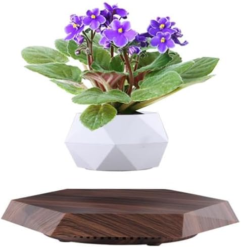 Planting Flower Pots, Leveling Plant Pot, Magnetic Activity, Floating Plant Pot, Floating Plant, Hanging Flower Pots, Suspended Flowpot, Planers