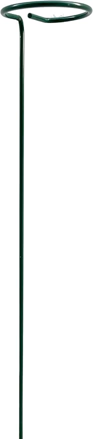 12 Pack 16 inch Plant Support Stakes, Metal Garden Support Stick Support Ring, Plant Sticks for Indoor Outdoor Single Stem Flower Peony, Orchid, Lily, Amaryllis, Rose, Tomato Pepper Plants Supports