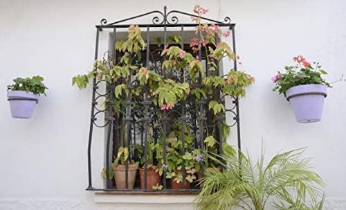 Darware Metal Wall Ring Planters with Pots (4-Pack, 8-Piece Set); Wall Mounted Clay Pots with Holders for Plants and Flowers