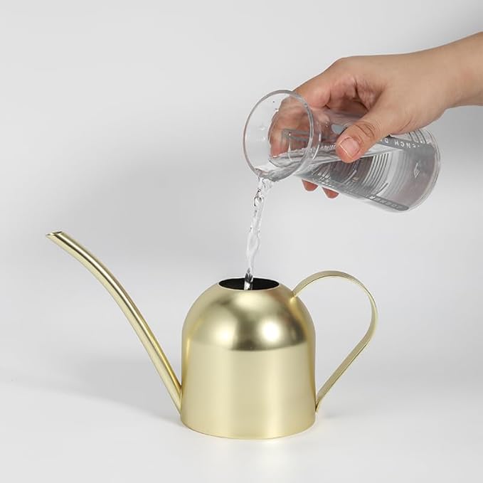 Stainless Steel Water Can for Indoor Plants and Garden (Gold 50 oz)